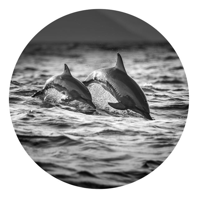 Carta da parati rotonda autoadesiva - Due delfini che saltano